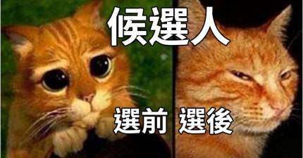15張「證實現實有多殘酷」的爆笑前後對比圖~~13. 在還沒「滿足」前的A片看起來的樣子 vs 「滿足」後的A片看起來的