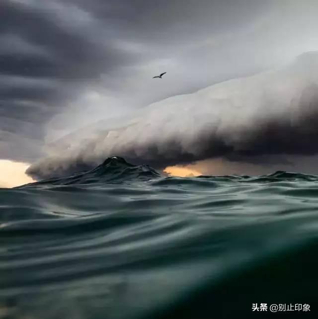 極具視覺衝擊力的37張照片，張張驚艷！