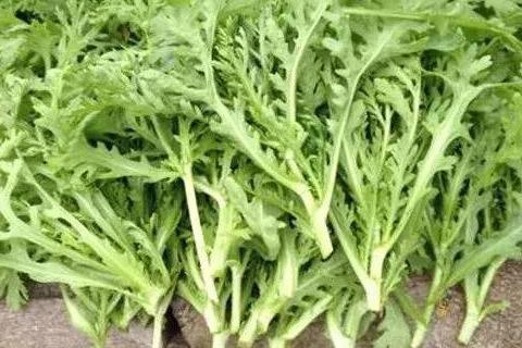 高血壓要少吃鹽嗎 四種蔬菜含鹽高 多數人吃錯了