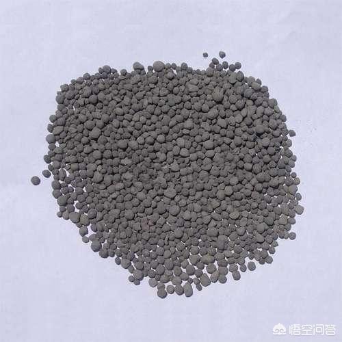 盆栽的檸檬坐果後，為什麼一直落果？
