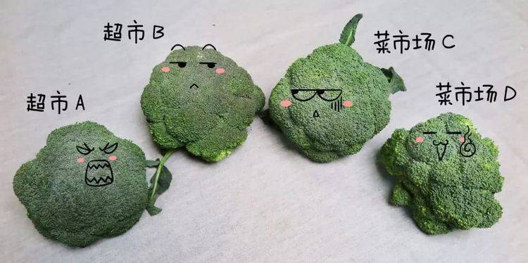 1朵花椰菜10條蟲！教你清洗妙招，髒東西、小蟲子洗得乾乾淨淨