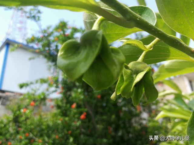 家長如果要陪同寶寶睡覺，一定要注意以下十個方面