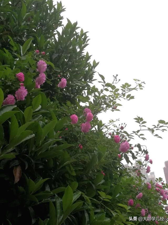 家長如果要陪同寶寶睡覺，一定要注意以下十個方面