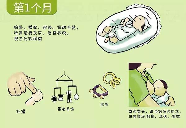 寶寶幾個月會翻身、爬行？0-3歲寶寶的發育圖譜，快來對照看看吧