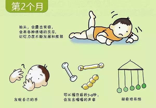 寶寶幾個月會翻身、爬行？0-3歲寶寶的發育圖譜，快來對照看看吧