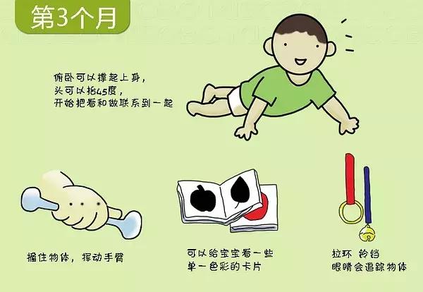 寶寶幾個月會翻身、爬行？0-3歲寶寶的發育圖譜，快來對照看看吧