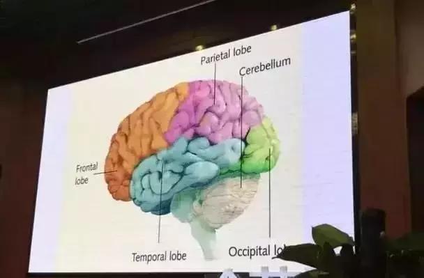 美國加州大學用醫學角度告訴你：想孩子學的好，掌握三種方法！