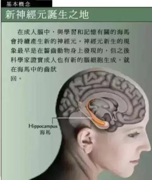 美國加州大學用醫學角度告訴你：想孩子學的好，掌握三種方法！