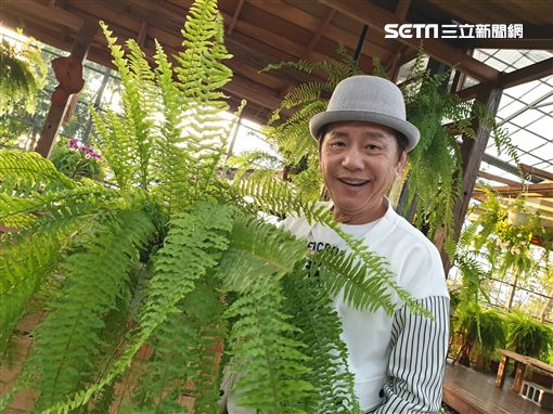 71歲黃西田「負債5千萬」嫩妻甘願一起熬　挺4月孕肚「狂接工作」：我好怕離開他...