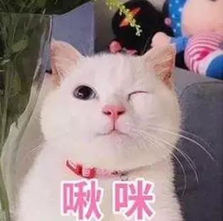 清明檔港片吊打DC，端午檔「王晶撞上漫威」，要不要賭一把