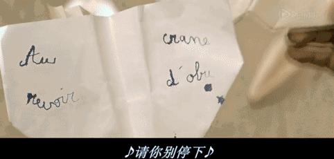 《放牛班的春天》——春天的花開