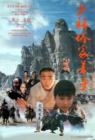 一部「跟風」《少林寺》的電影，題材比較罕見，不過被埋於世