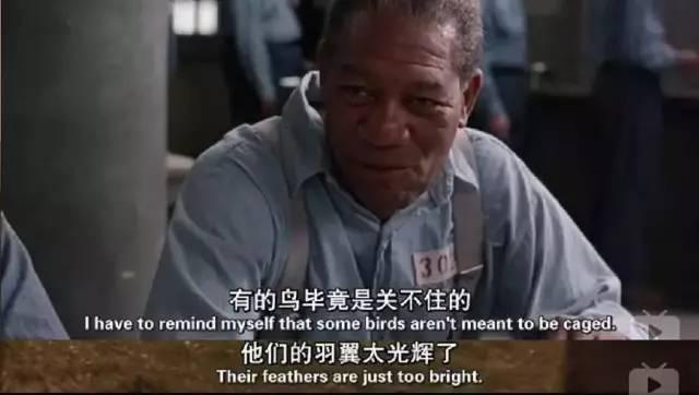 截止今天這片豆瓣已有120萬人打了滿分，目前這個數據還在上升中