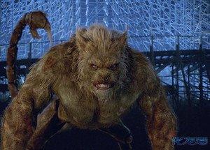 五部奇幻冒險電影  對抗惡魔  奇珍異獸