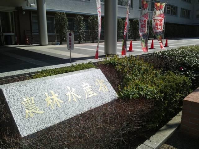 日本員工食堂火了！網友：老闆不發工資也認了