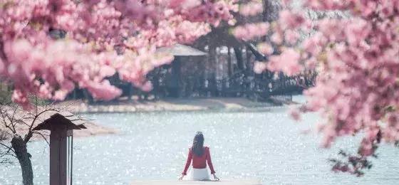 玩上海只會外灘田子坊到此一游？會玩的人據說都已經去這些地方了