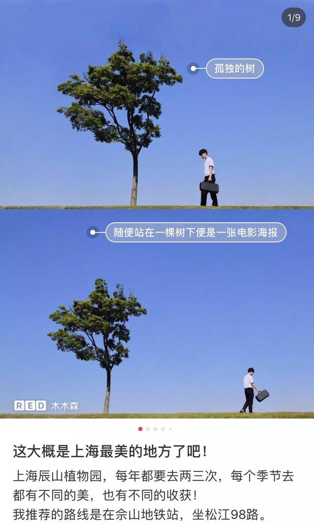 玩上海只會外灘田子坊到此一游？會玩的人據說都已經去這些地方了