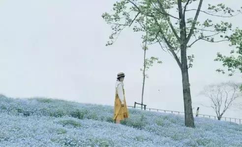 玩上海只會外灘田子坊到此一游？會玩的人據說都已經去這些地方了
