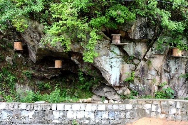 岳西一對夫妻6年時間建起陀尖下最美農莊，已有4000人「打卡」