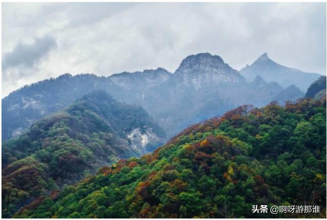 秦嶺國家植物園花海驚艷綻放，約起！