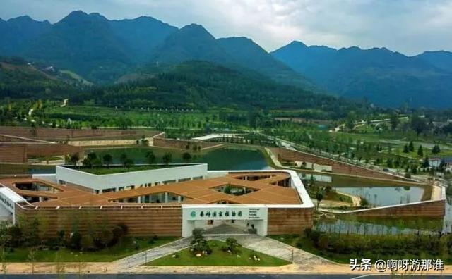 秦嶺國家植物園花海驚艷綻放，約起！