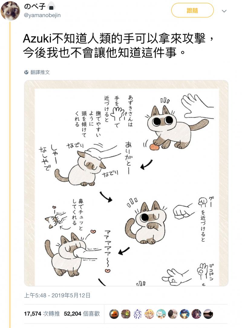 對貓比出「彈額頭手勢」會怎樣？　鏟屎官實測驚喜：養到天使貓了❤ 