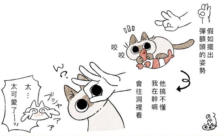 對貓比出「彈額頭手勢」會怎樣？　鏟屎官實測驚喜：養到天使貓了❤ 