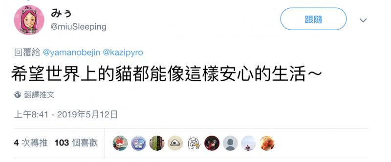 對貓比出「彈額頭手勢」會怎樣？　鏟屎官實測驚喜：養到天使貓了❤ 