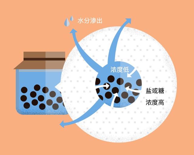 【每天學點烹飪學】烹飪原理（一）｜腌漬：最古老的烹飪之道