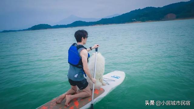 廣東周邊竟藏了間完美溜娃地！住帳篷營地，喂動物，解鎖完美暑假