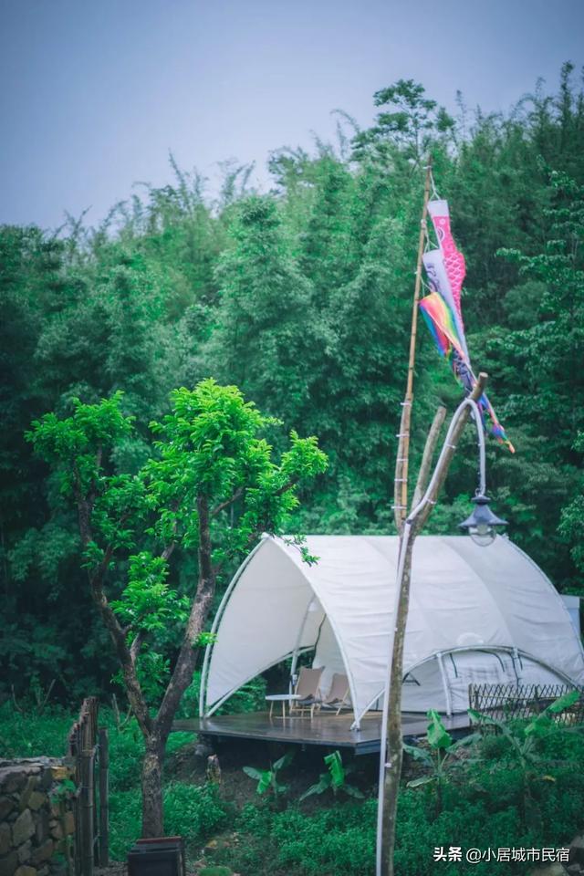 廣東周邊竟藏了間完美溜娃地！住帳篷營地，喂動物，解鎖完美暑假