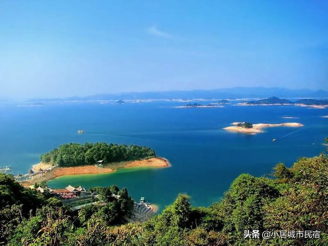 廣東周邊竟藏了間完美溜娃地！住帳篷營地，喂動物，解鎖完美暑假