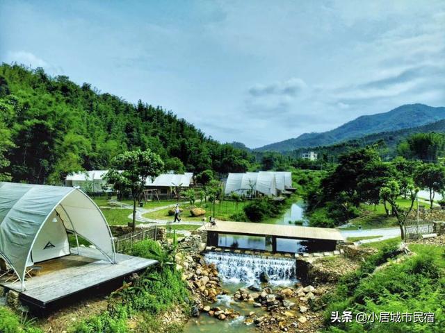 廣東周邊竟藏了間完美溜娃地！住帳篷營地，喂動物，解鎖完美暑假