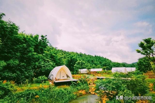 廣東周邊竟藏了間完美溜娃地！住帳篷營地，喂動物，解鎖完美暑假