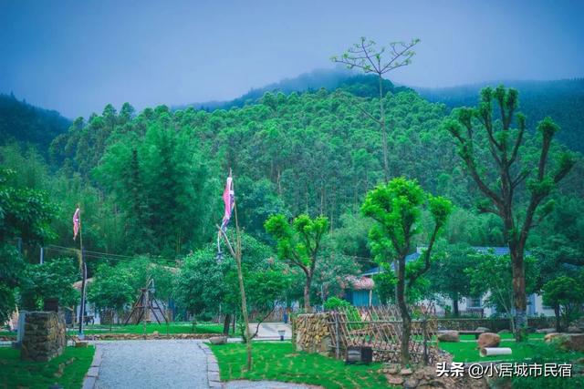 廣東周邊竟藏了間完美溜娃地！住帳篷營地，喂動物，解鎖完美暑假