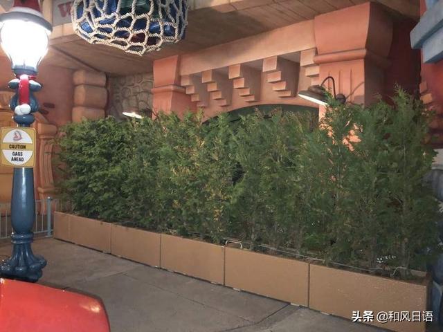 迪士尼的噴水池變「泡腳池」，什麼時候不文明行為才會停止！