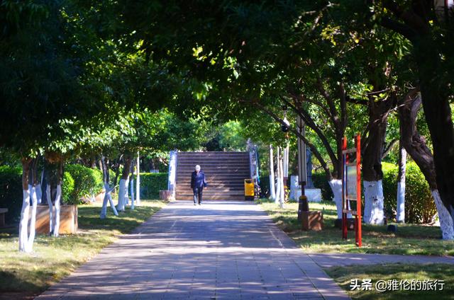 雲南這座公園在開玩笑？一個市內湖泊還能美成這樣！我能玩一天