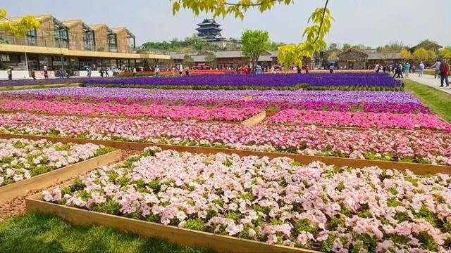 搞休閒農業、鄉村旅遊，向世園會學景觀設計