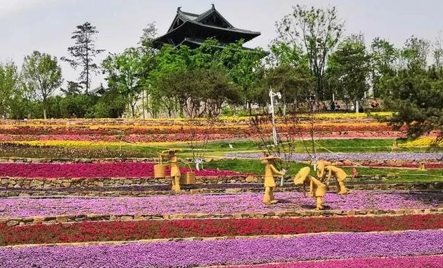 搞休閒農業、鄉村旅遊，向世園會學景觀設計