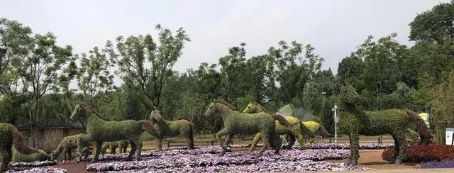 搞休閒農業、鄉村旅遊，向世園會學景觀設計