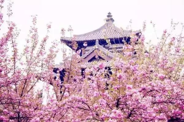 老外都羨慕的中國8個景點，你去過幾個？