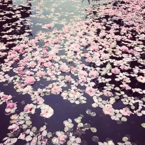 老外都羨慕的中國8個景點，你去過幾個？