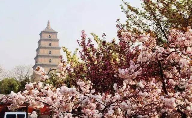 老外都羨慕的中國8個景點，你去過幾個？