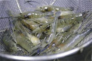面中愛馬仕，只有3個月的賞味期限。端午假期，這就安排吧~