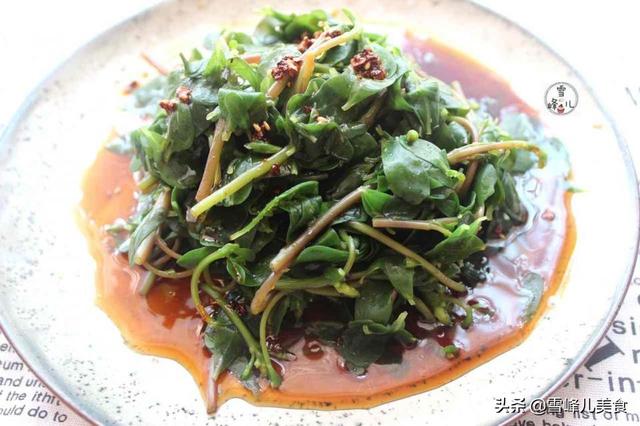 它被稱「天然養生菜」，每次遇到趕緊採回家，好吃又下飯