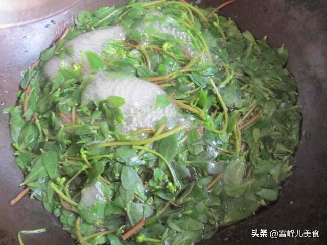 它被稱「天然養生菜」，每次遇到趕緊採回家，好吃又下飯