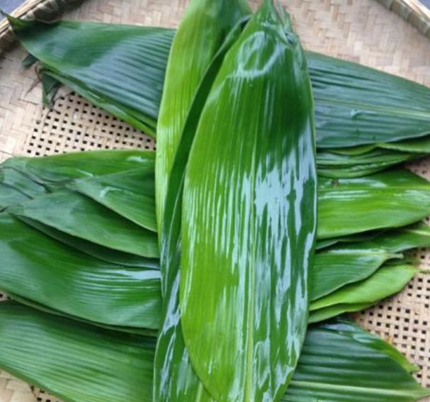 煮粽葉時，很多人用「錯」了水，難怪粽葉不綠還不軟