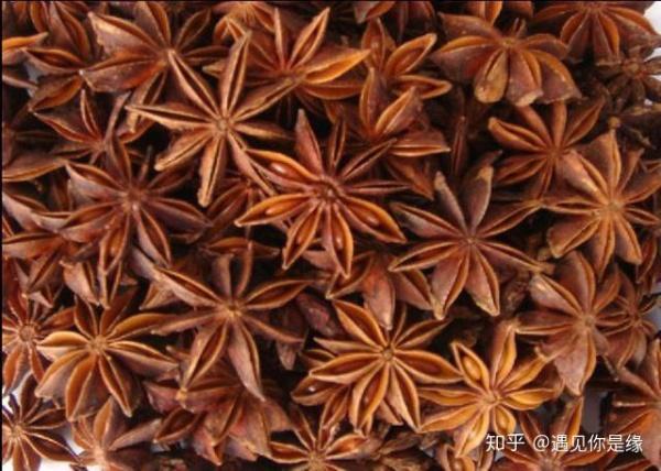滷菜店裡賣的滷菜為什麼老遠都能聞到香味？