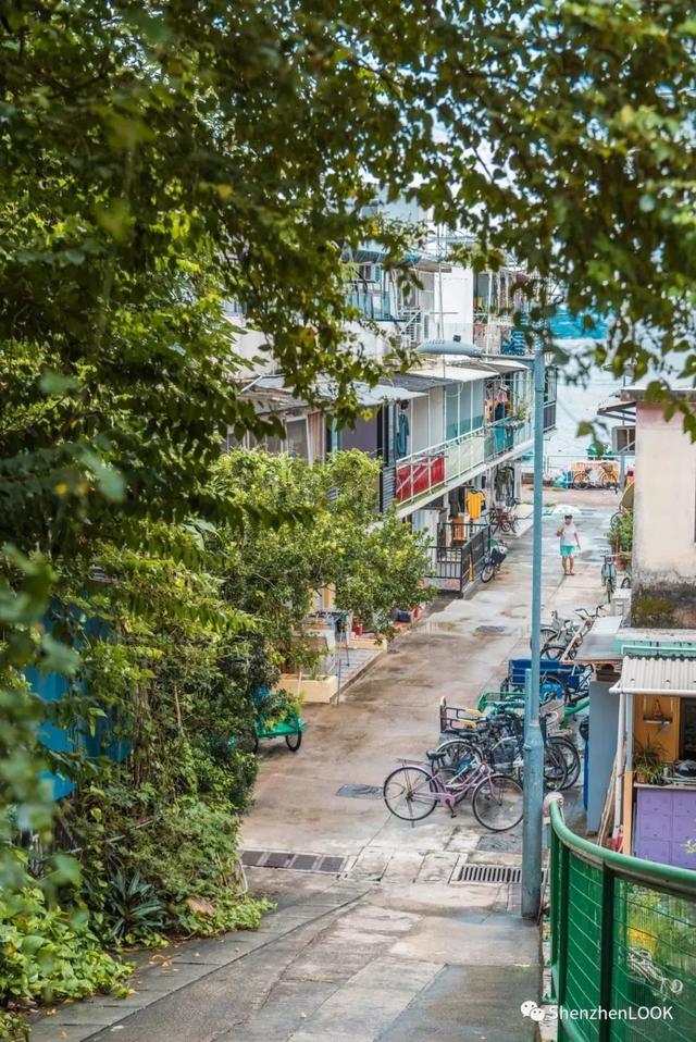 LOOK｜香港最小離島 · 0.99平方公里