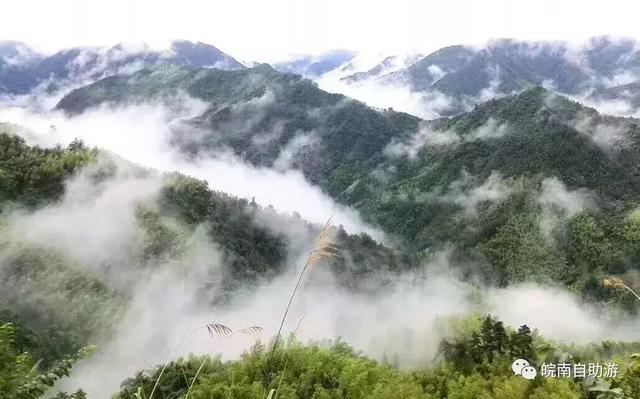 皖南免票攻略，自駕原生態白際、峽谷戲水、霧裡坡山3日游路書